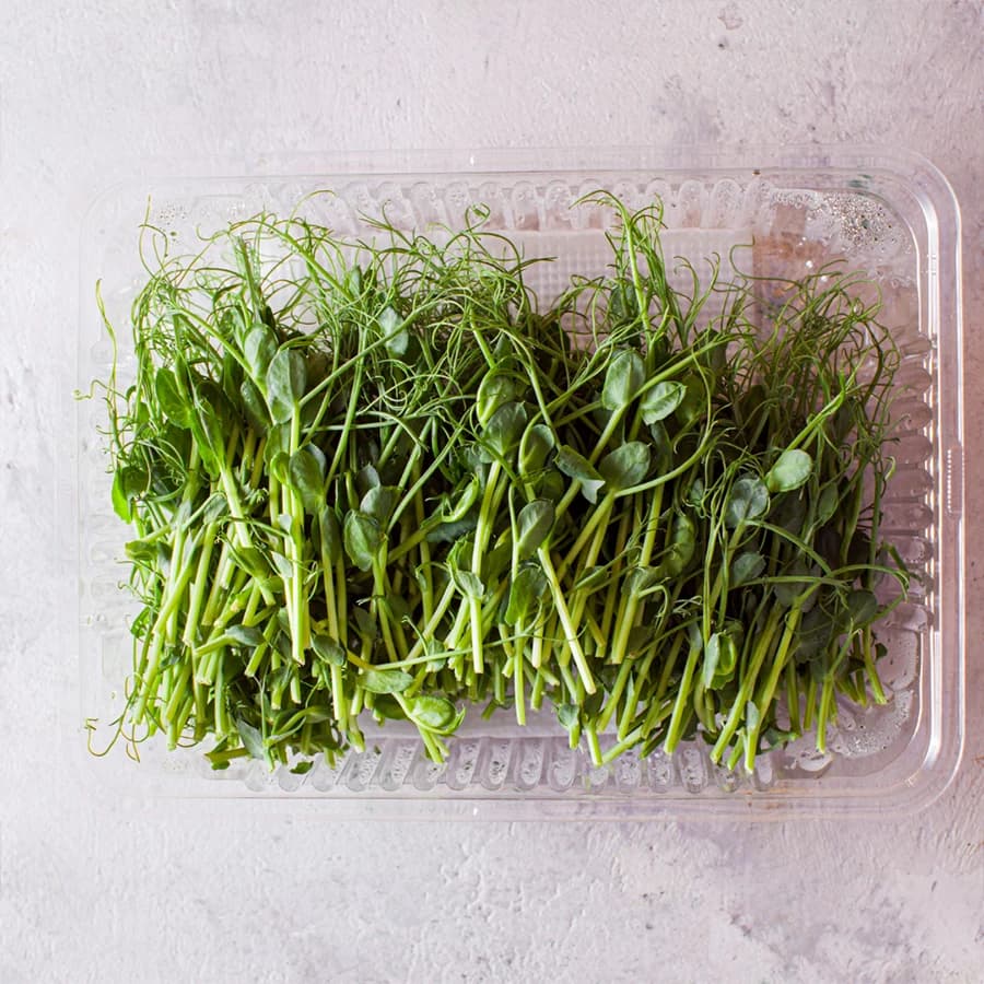 Pea Shoots thumbnail 6